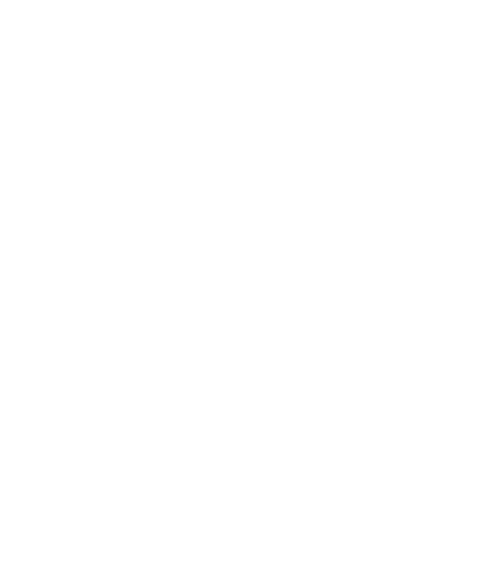 Bohr Quantum