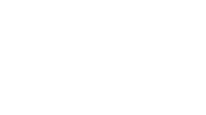 Skylark Labs